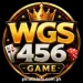 WGS 456 Game